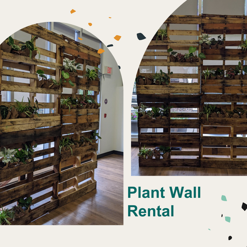 Plant wall rental